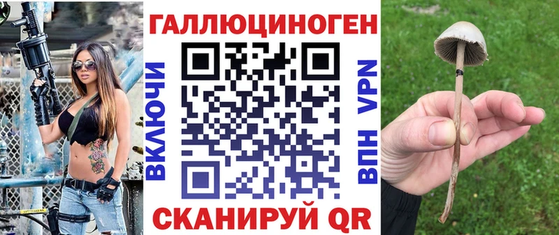 Псилоцибиновые грибы мицелий  Санкт-Петербург 