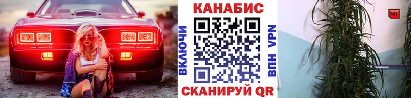 Бошки Шишки THC 21% Санкт-Петербург